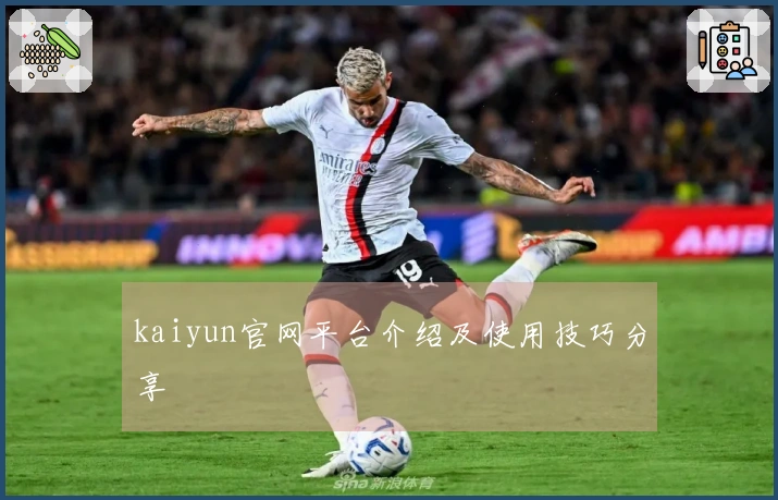 kaiyun官网平台介绍及使用技巧分享