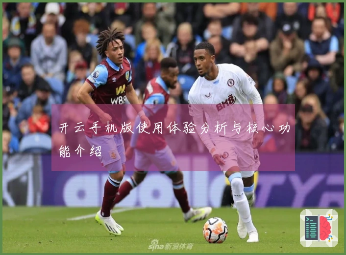 开云手机版使用体验分析与核心功能介绍