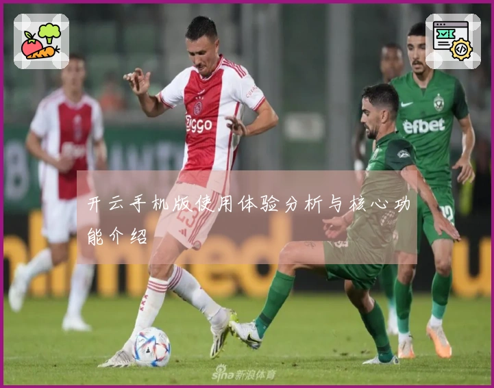 开云手机版使用体验分析与核心功能介绍