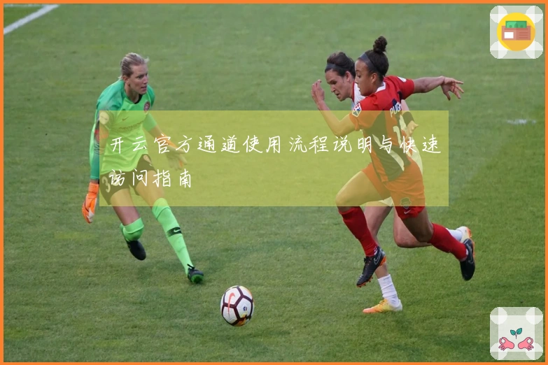 开云官方通道使用流程说明与快速访问指南